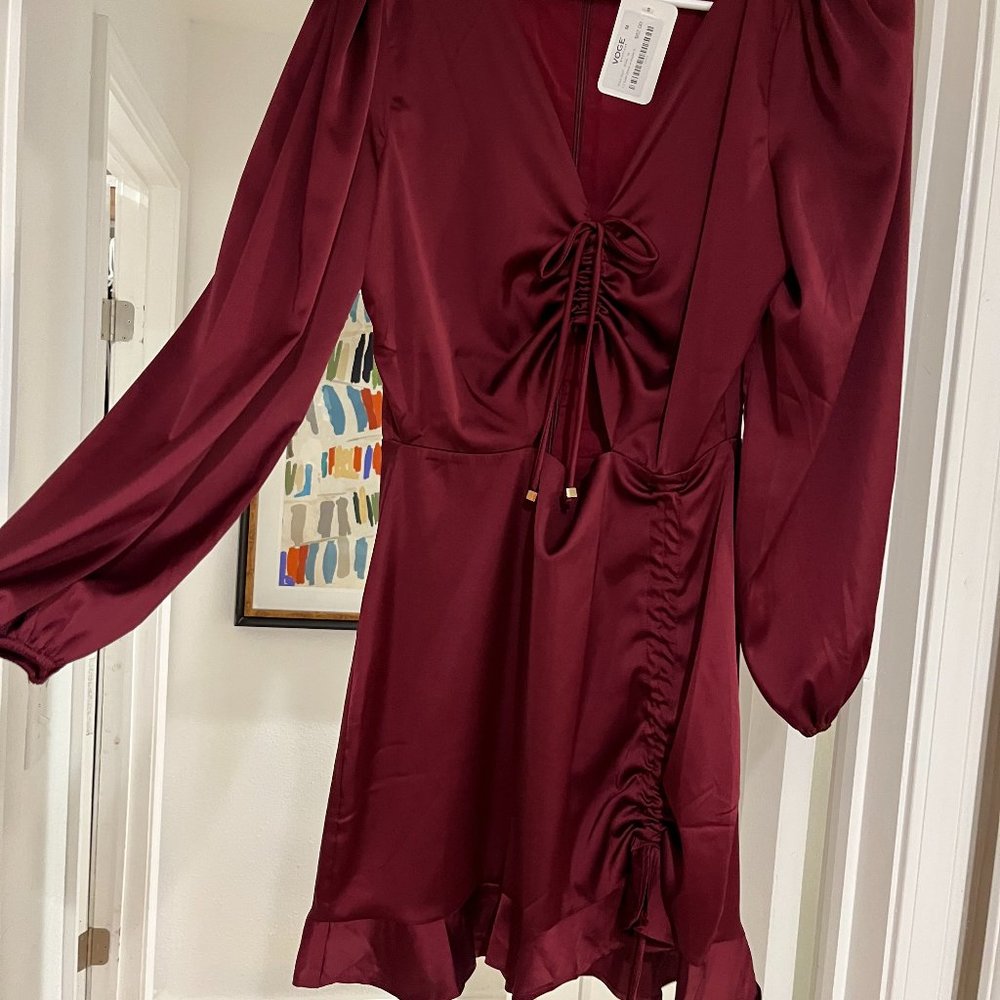 Wine Colored Silky Dress